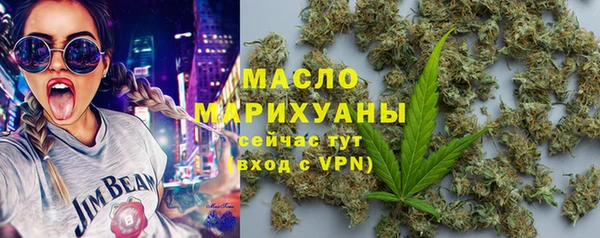 молекула духа Кулебаки