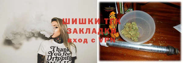 молекула духа Кулебаки