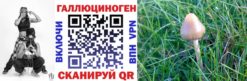Псилоцибиновые грибы Cubensis  дарнет шоп  Щёкино 